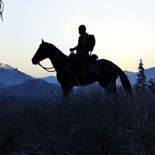 PS5 The Last Us wallpaper