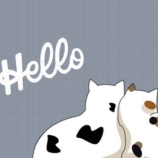 Minimalist cat wallpaper