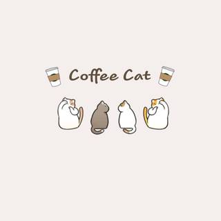 Minimalist cat wallpaper