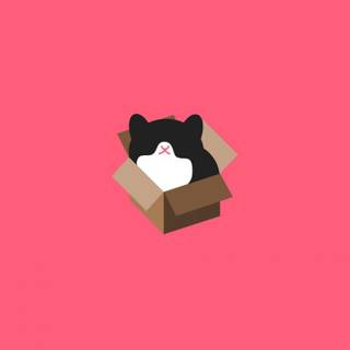 Minimalist cat wallpaper