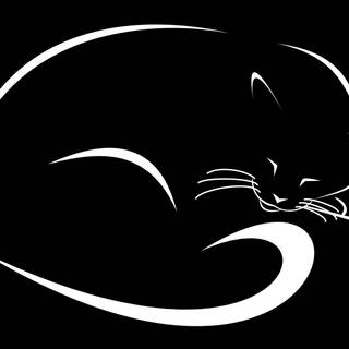 Minimalist cat wallpaper