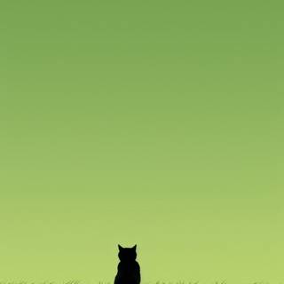 Minimalist cat wallpaper
