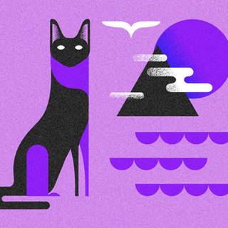 Minimalist cat wallpaper