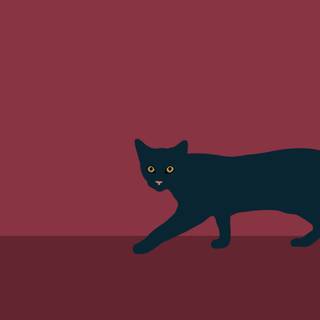 Minimalist cat wallpaper