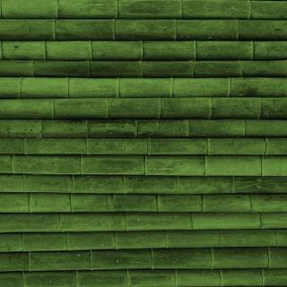 Green woods wallpaper