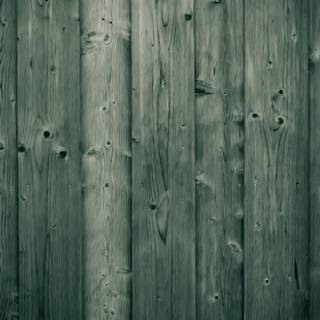 Green woods wallpaper