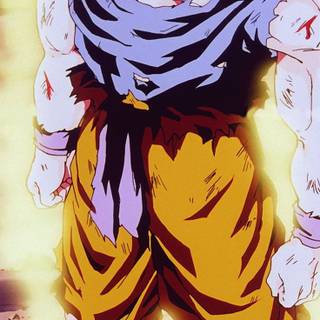 Goku Namek wallpaper