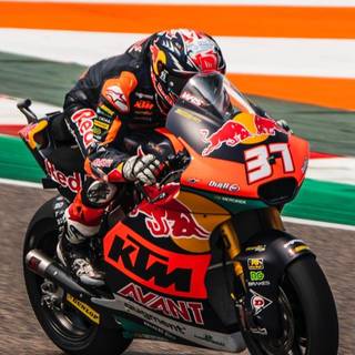 Pedro Acosta iPhone 4k wallpaper