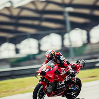 Pedro Acosta iPhone 4k wallpaper