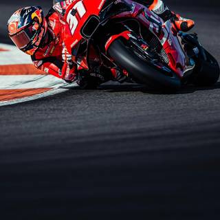 Pedro Acosta iPhone 4k wallpaper