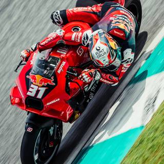 Pedro Acosta iPhone 4k wallpaper