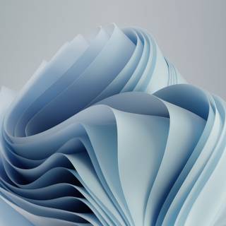 Windows 11 oled wallpaper