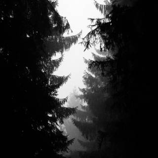 Simple dark 4k wallpaper