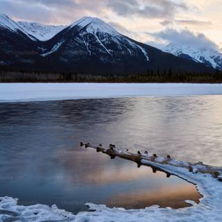 Peaceful 4k wallpaper