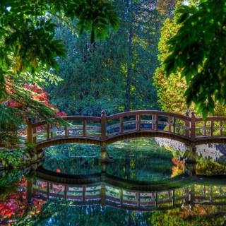 Peaceful 4k wallpaper