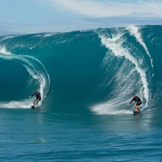 Point blank 4k wallpaper