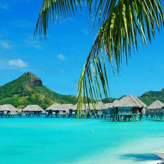 Bora Bora iPhone wallpaper