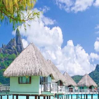 Bora Bora iPhone wallpaper