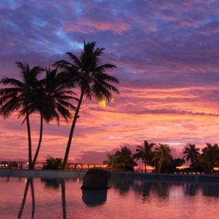 Bora Bora iPhone wallpaper