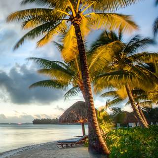 Bora Bora iPhone wallpaper