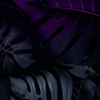 Neon iPhone 12 wallpaper