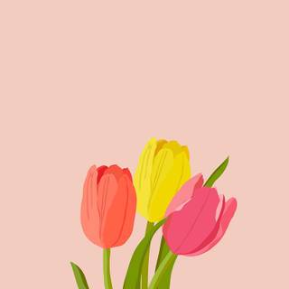 Tulips phone wallpaper