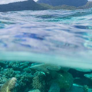 Bora Bora iPhone wallpaper