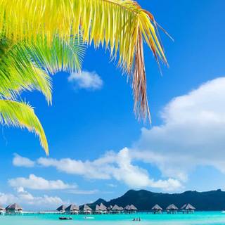 Bora Bora iPhone wallpaper
