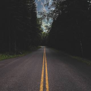 Montana iPhone wallpaper