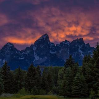 Montana iPhone wallpaper