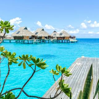 Bora Bora iPhone wallpaper