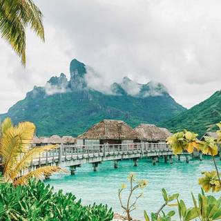 Bora Bora iPhone wallpaper