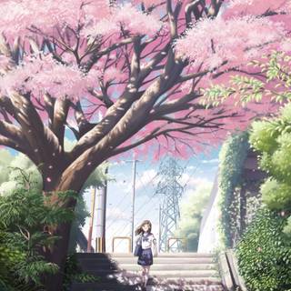 Anime Japan iPhone wallpaper