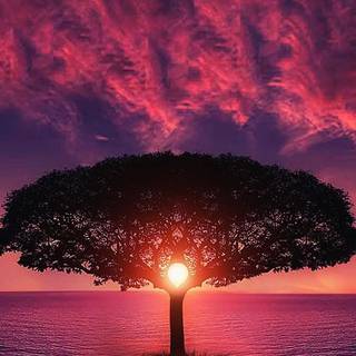 Purple sky iPhone wallpaper