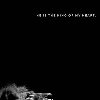 Black lion phone wallpaper