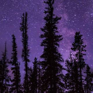 Purple sky iPhone wallpaper