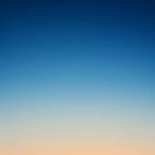 Poison iPhone wallpaper