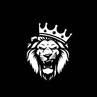 Black lion phone wallpaper