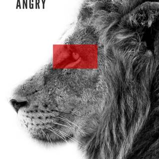 Black lion phone wallpaper