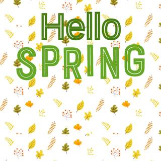 Phone outline wallpaper