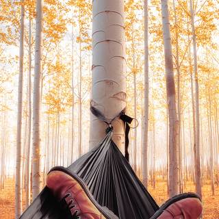 Camping phone wallpaper