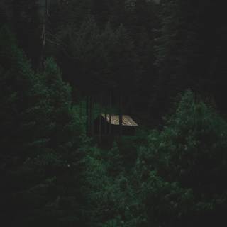 Black house iPhone wallpaper