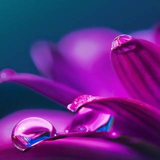 LG Q Stylo 4 wallpaper