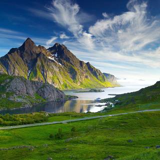 Lush green wallpaper