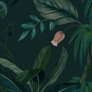 Lush green wallpaper