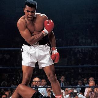 Muhammed Ali iPhone wallpaper