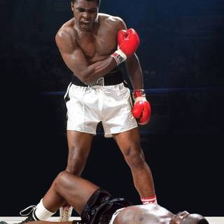 Muhammed Ali iPhone wallpaper