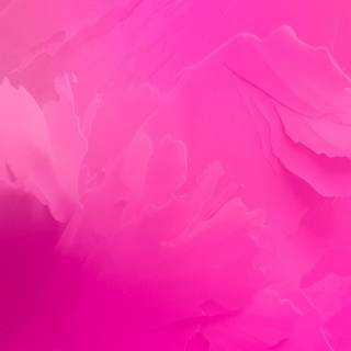 Hot pink iPhone wallpaper