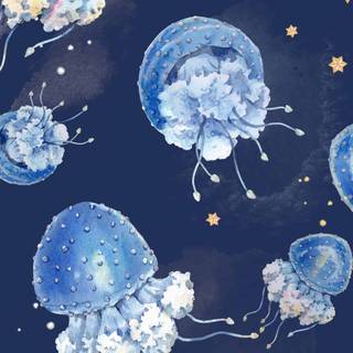 Jellyfish phone wallpaper