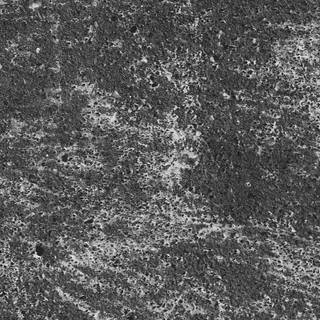 Grunge aesthetic phone wallpaper